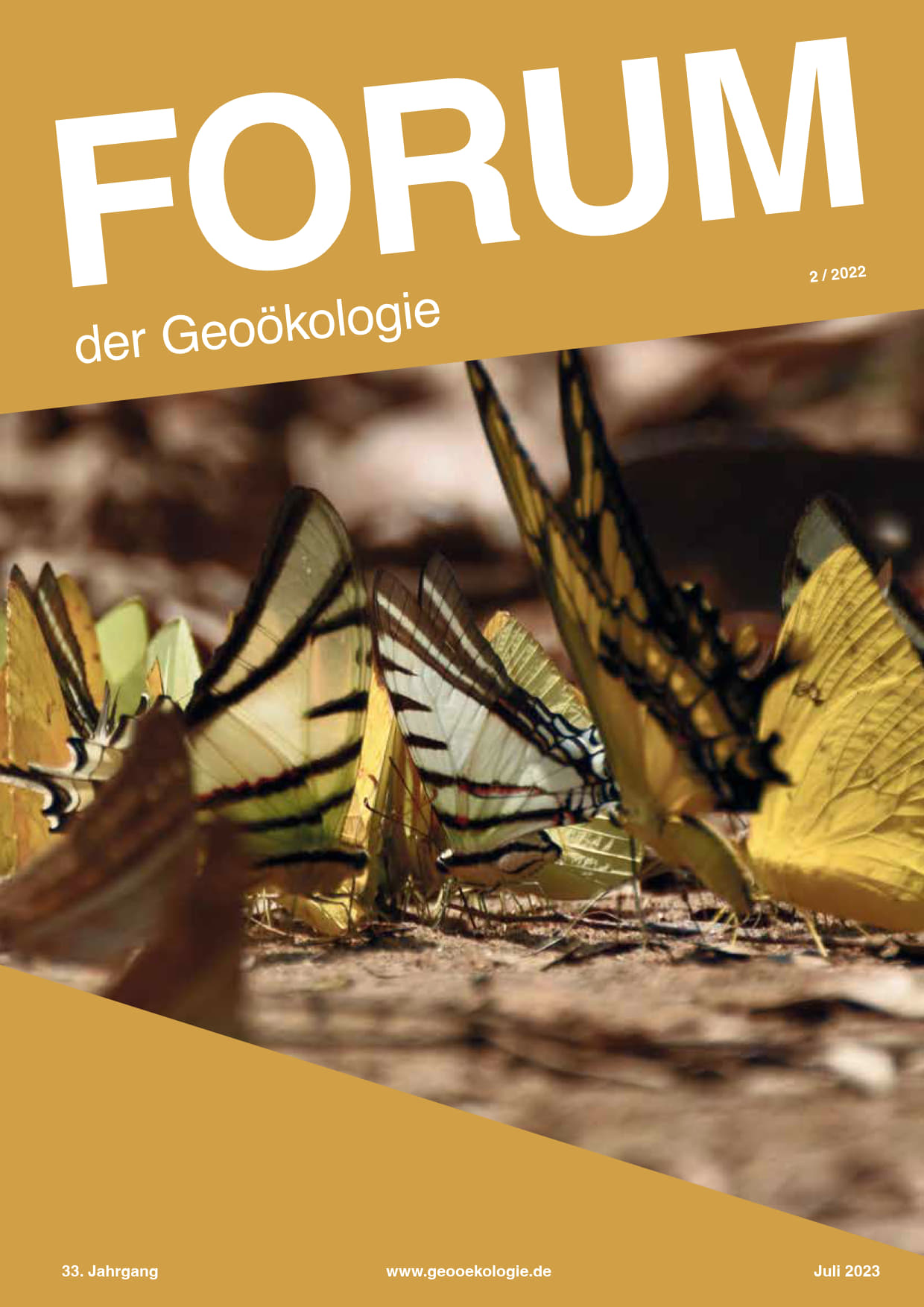 Deckblatt Forum der Geoökologie, Ausgabe 22/2