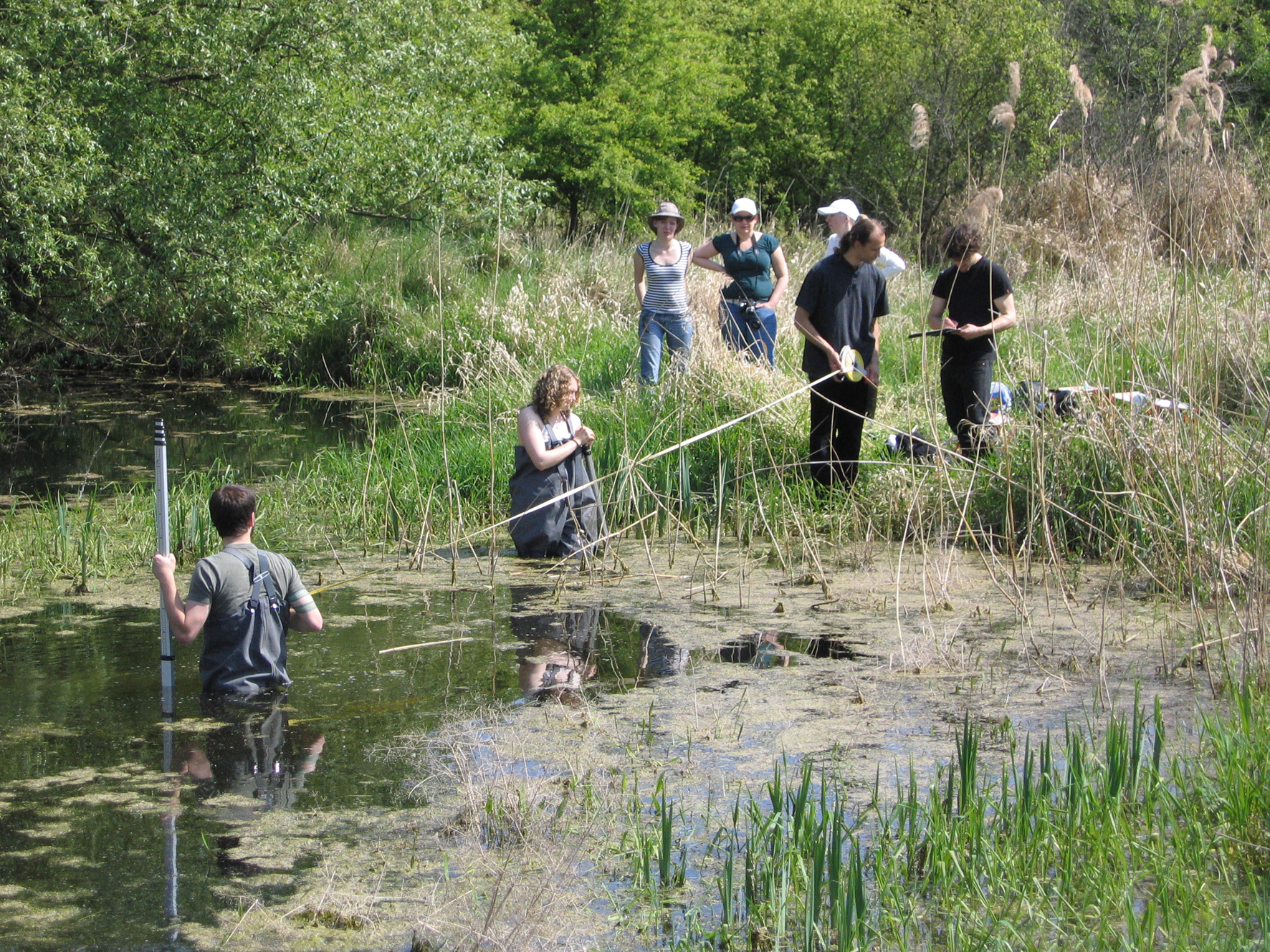 Abbildung 3: Studenten beim Sammeln und Bestimmen von Amphibien